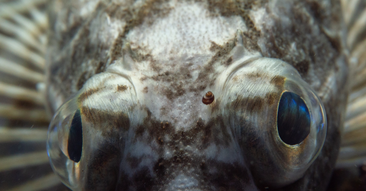 Image by Curtis Morris